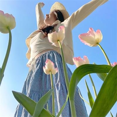 淑女绅士
